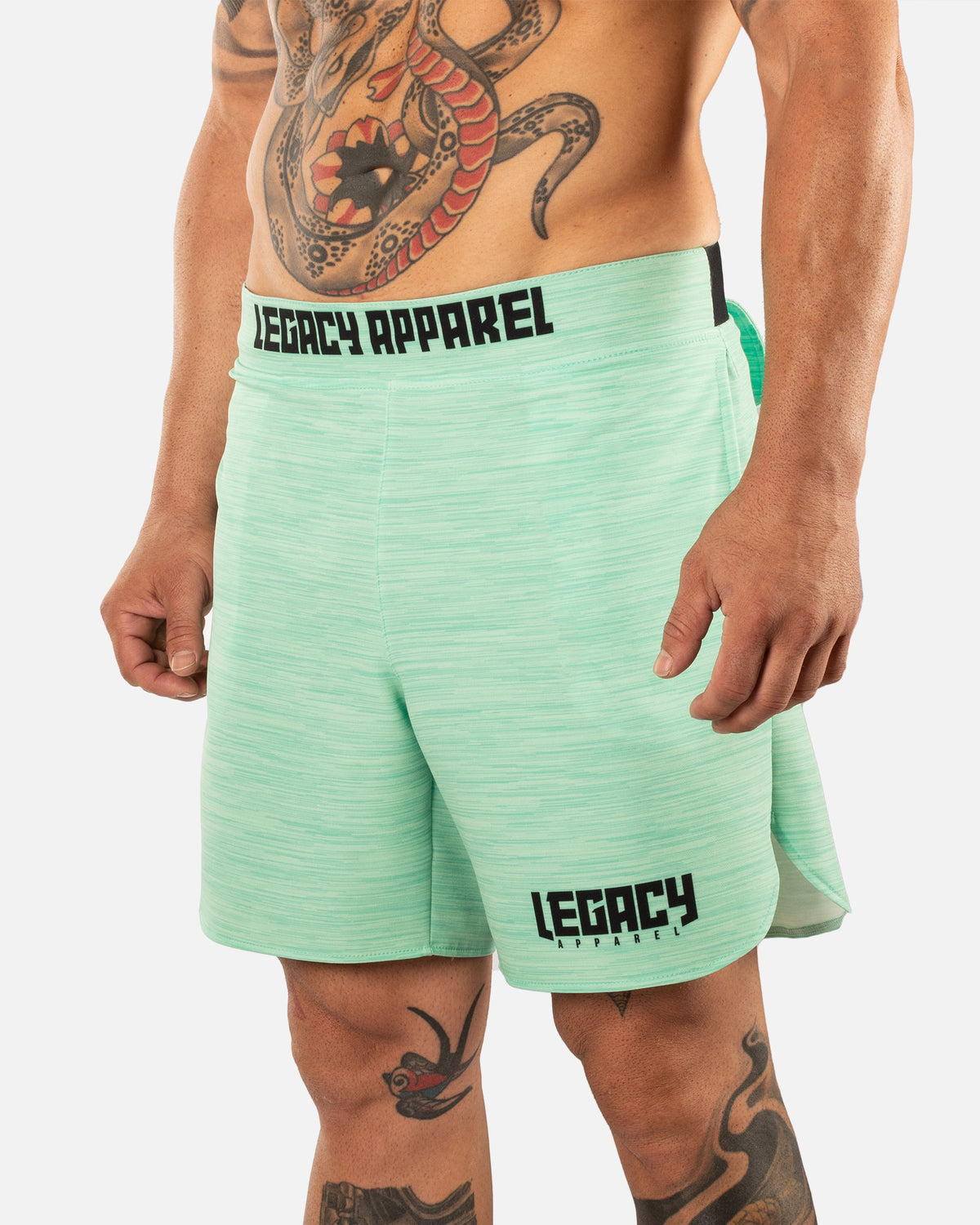 Performance Shorts - Menta